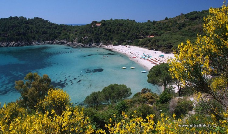 Appartamenti Mare Isola D Elba Appartamenti Mare Isola D Elba
