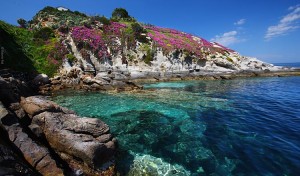 Hotel Ilio, Elba