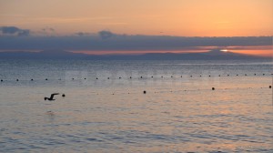 Alba all'Isola d'Elba