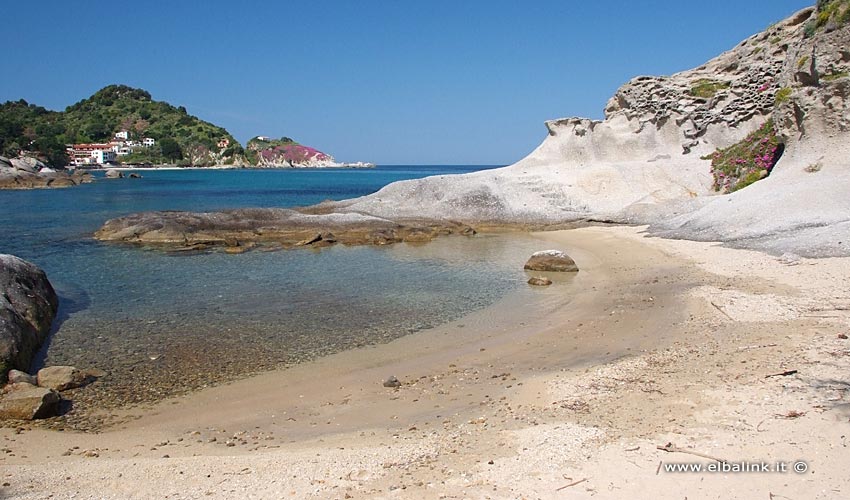 Spiaggia del Cotoncello - Isola d'Elba