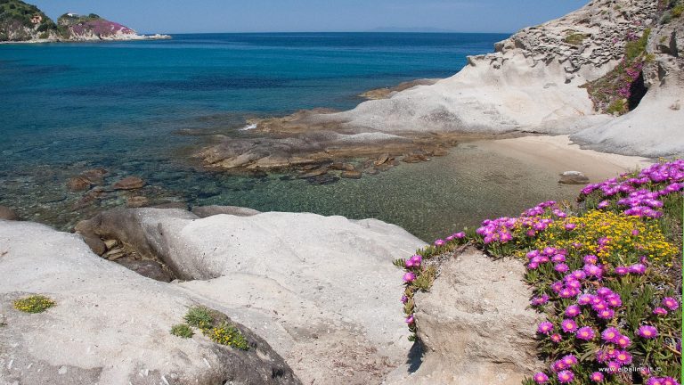 Spiaggia del Cotoncello - Isola d'Elba