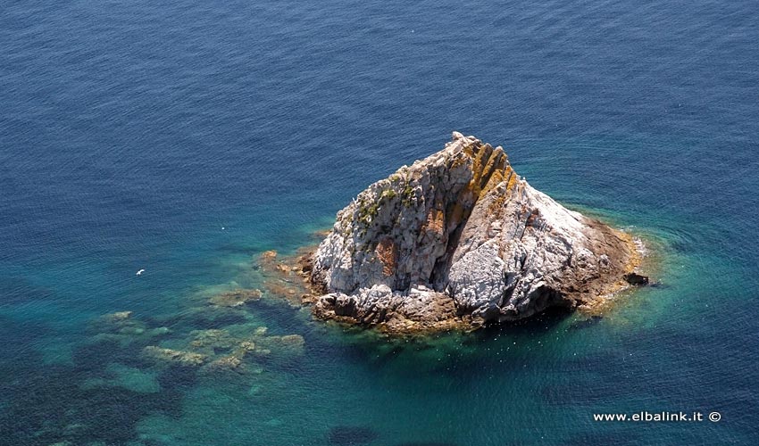 Spiaggia dell'Enfola - Isola d'Elba