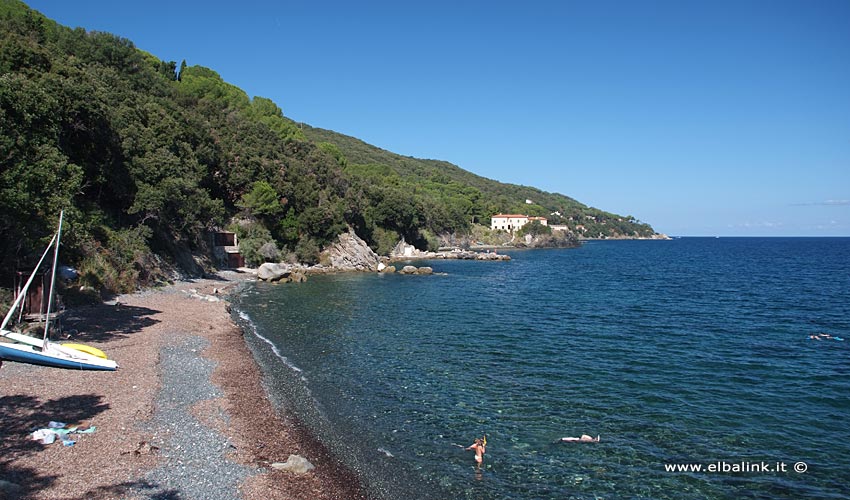 Spiaggia delle Sprizze, Elba