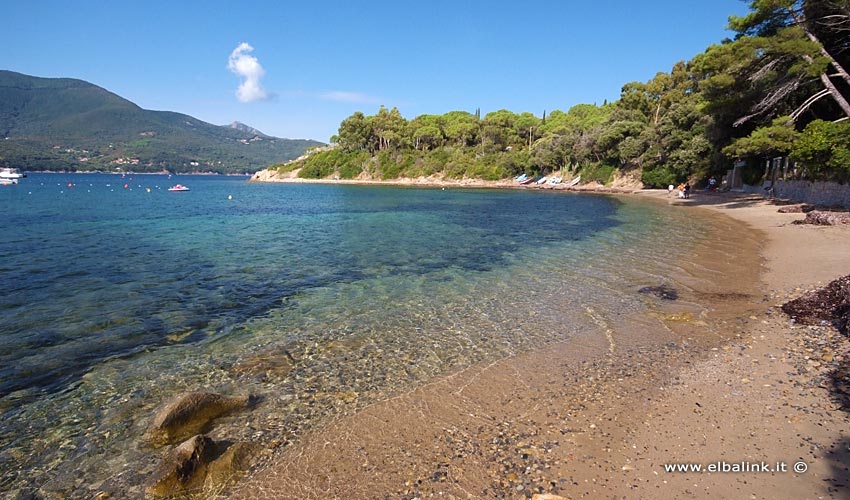 Spiaggia di Campo all'Aia - Isola d'Elba