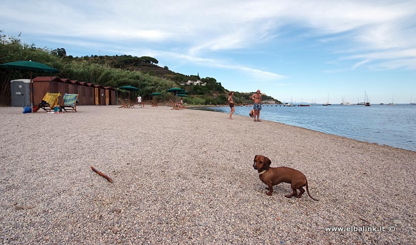 Spiaggia di Mola - Isola d'Elba