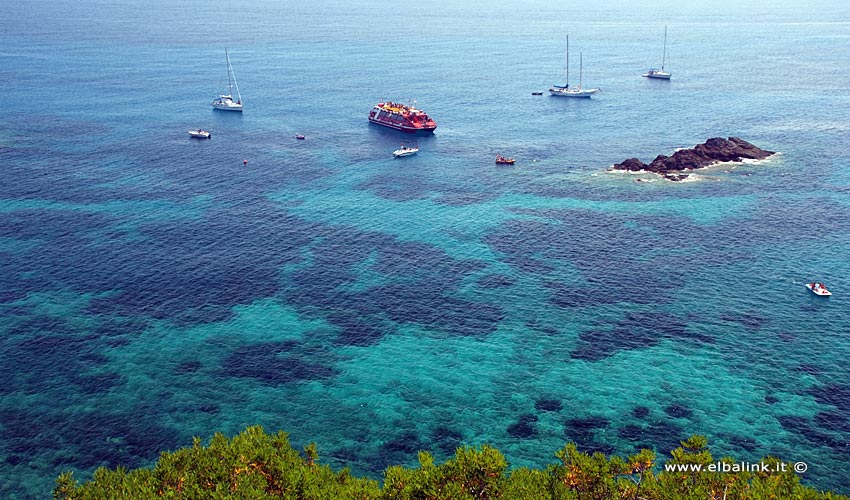 Scoglio dell'Ogliera a Pomonte - Isola d'Elba