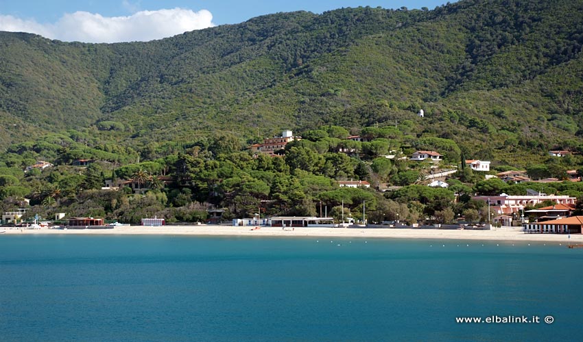 Spiaggia di Procchio - Isola d'Elba