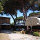 Hotel Thomas (Campo nell'Elba)