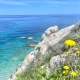 Appartamenti La Galatea (Campo nell'Elba)
