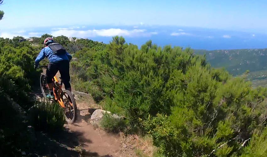 Bike Center Costa dei Gabbiani, Elba