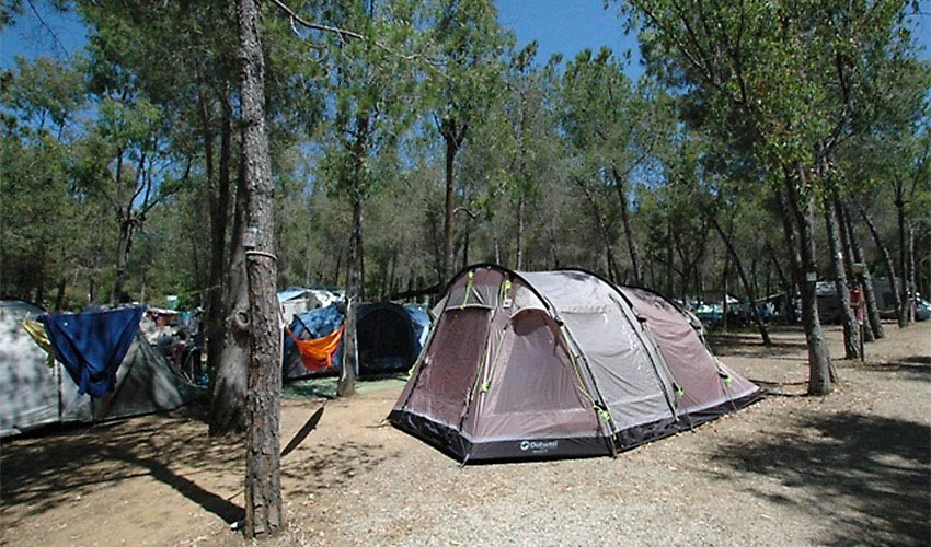 Camping Lacona, Elba
