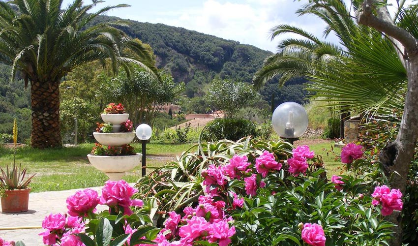 Hotel La Feluca, Elba