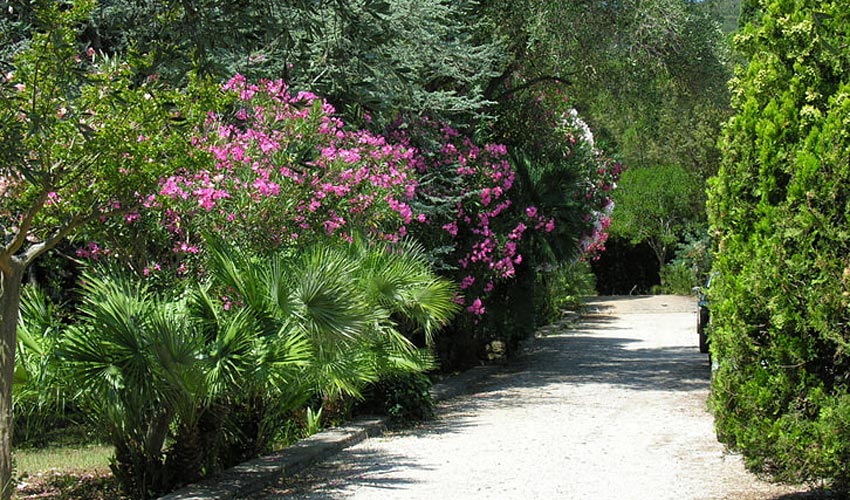 Hotel Maristella, Elba