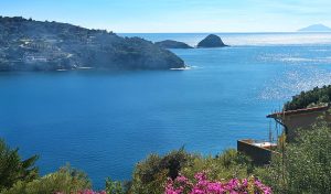 Residence Capo Morcone, Elba
