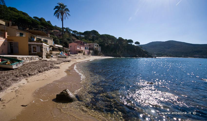 Spiaggia del Forno, Elba