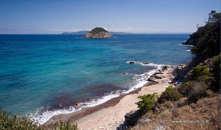 Spiaggia del Frugoso, Elba