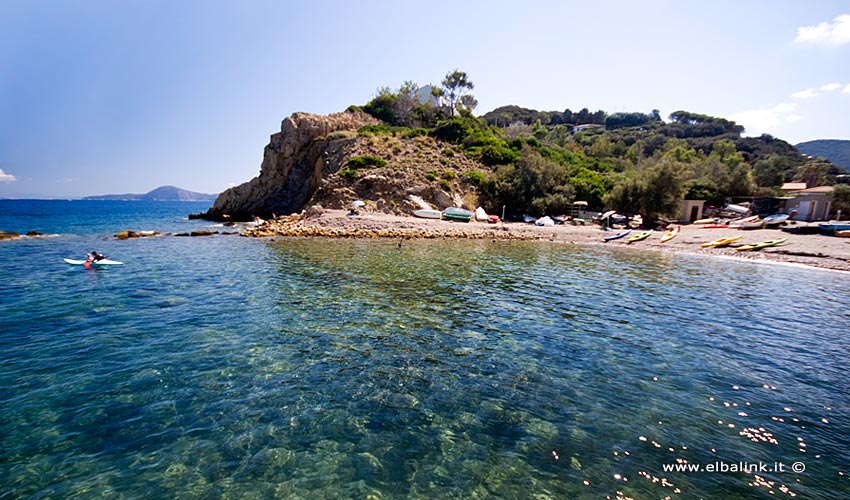 Spiaggia dell'Enfola, Elba