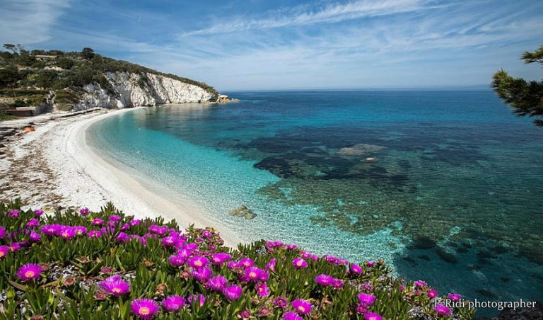 Spiaggia della Paduella, Elba