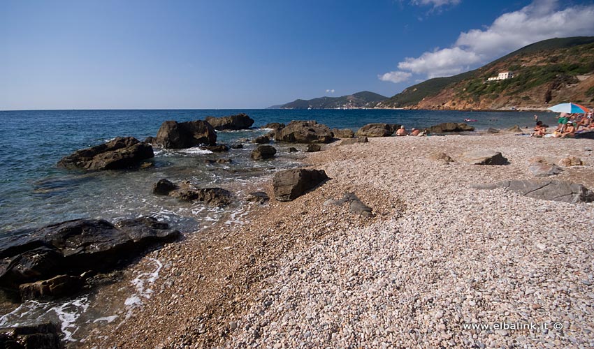 Spiaggia di Cala Seregola, Elba