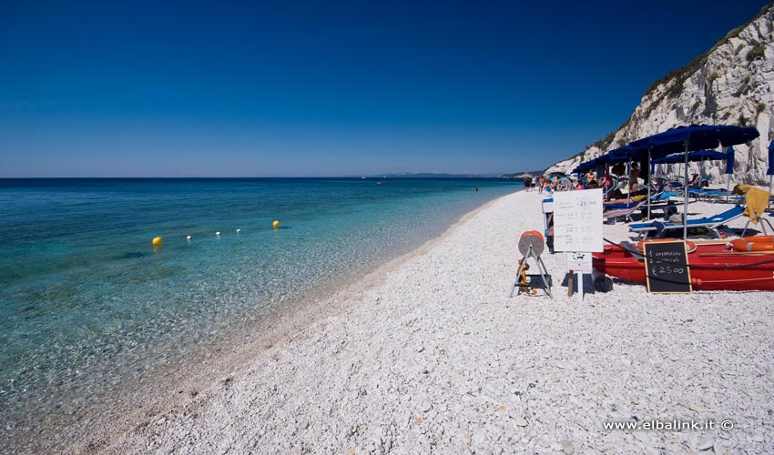 Spiaggia di Capo Bianco, Elba