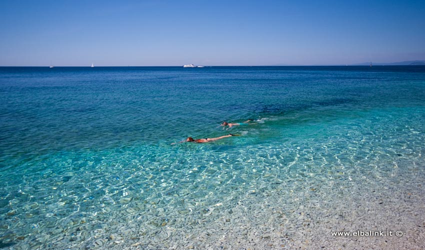 Spiaggia di Capo Bianco, Elba