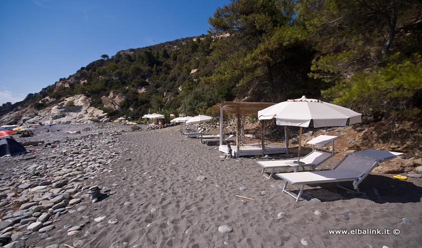 Spiaggia di Colle Palombaia, Elba