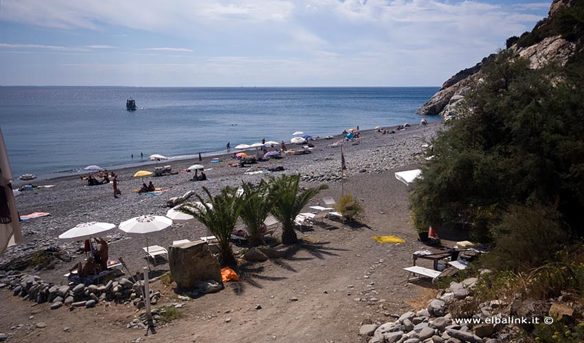 Spiaggia di Colle Palombaia, Elba