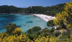 Spiaggia di Fetovaia, Elba