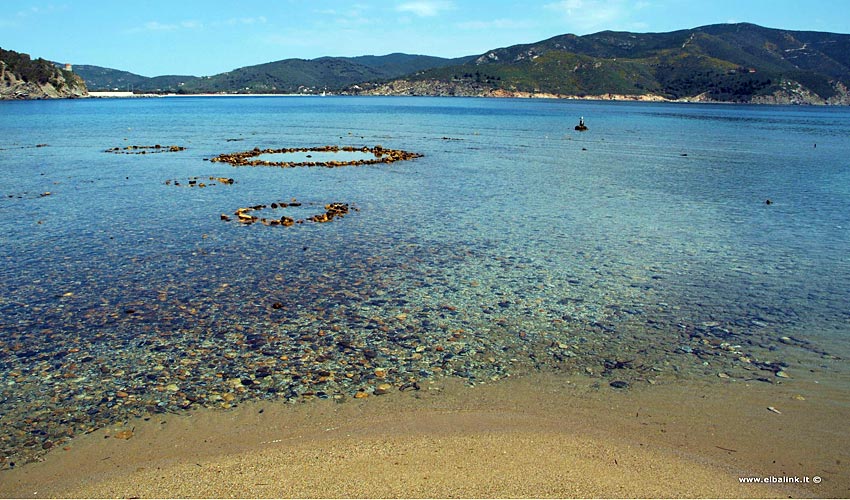 Spiaggia di Galenzana, Elba