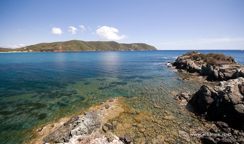 Spiaggia di Laconella, Elba