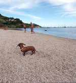 Spiaggia di Mola, Elba