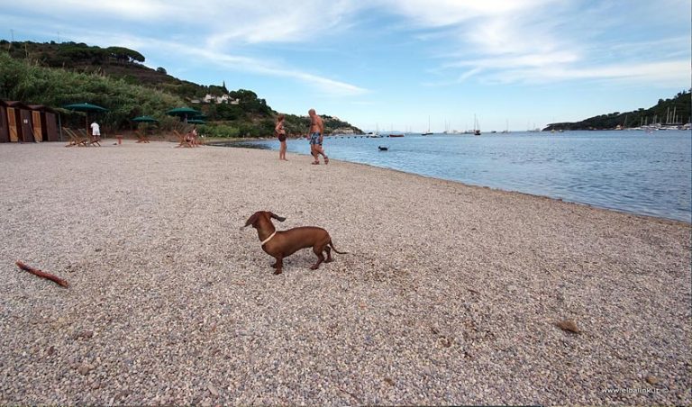 Spiaggia di Mola, Elba