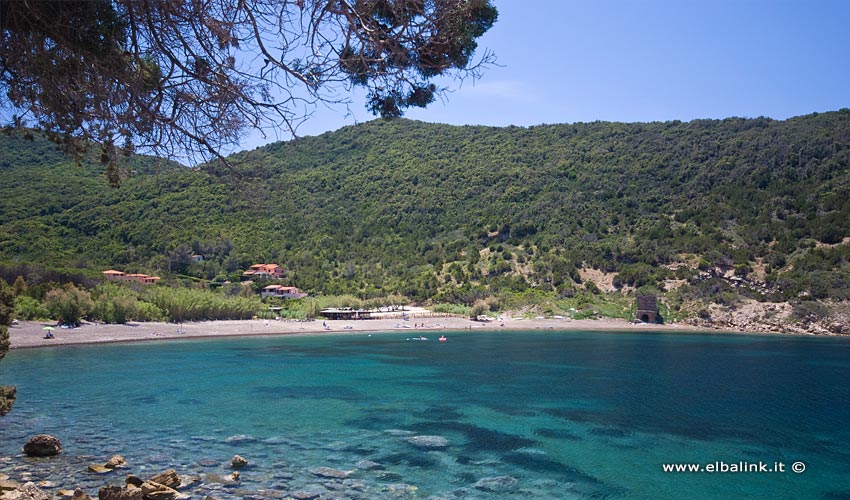 Spiaggia di Nisporto, Elba