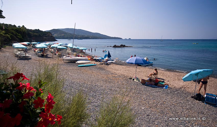 Spiaggia di Norsi, Elba