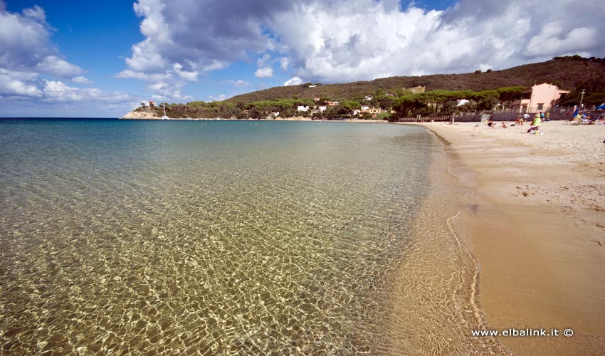 Spiaggia di Procchio, Elba