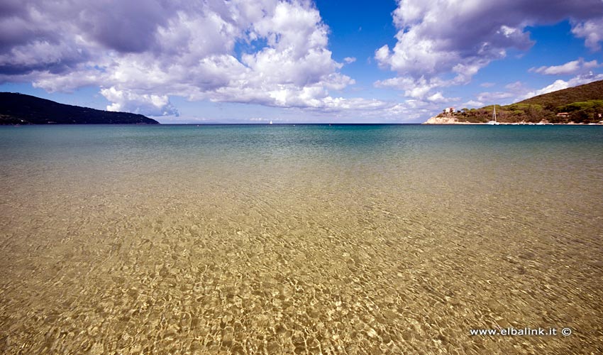 Spiaggia di Procchio, Elba