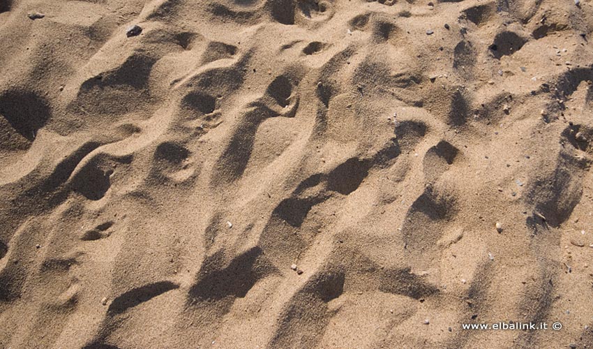 Spiaggia del Lido di Capoliveri, Elba