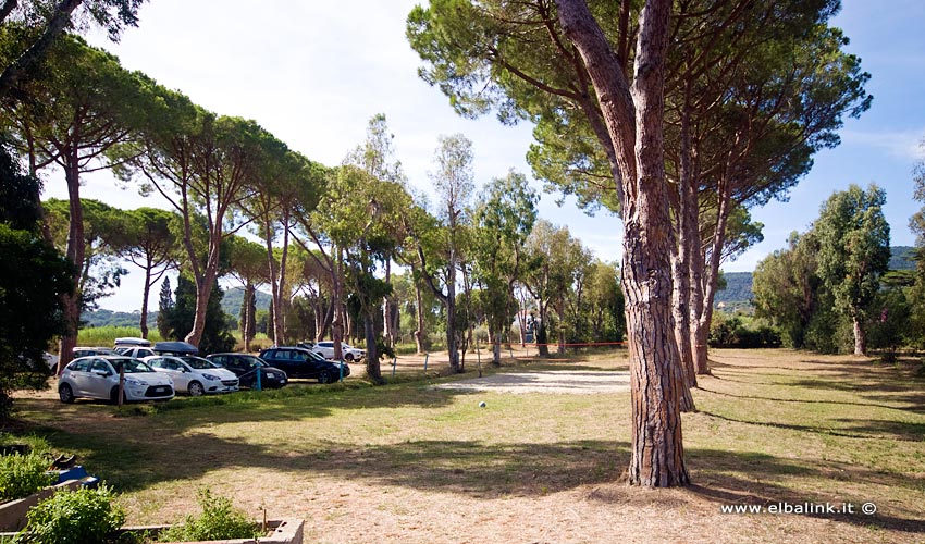 Spiaggia di Schiopparello, Elba