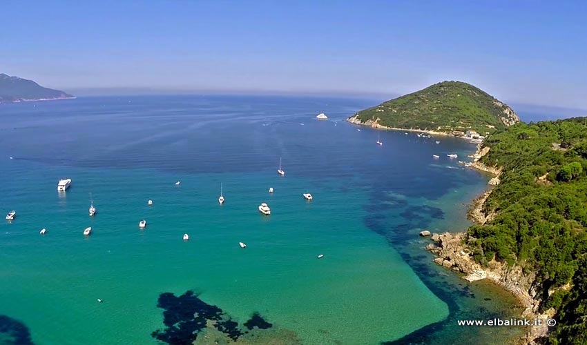 Spiaggia del Viticcio, Elba