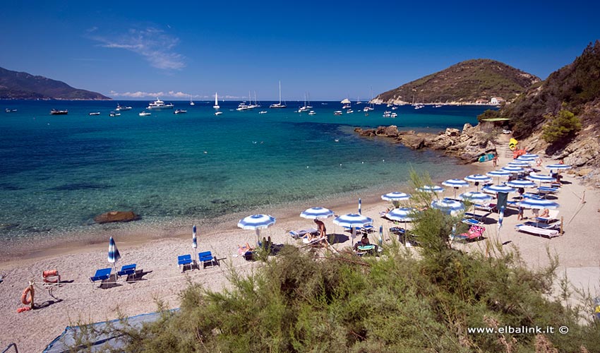 Spiaggia del Viticcio, Elba