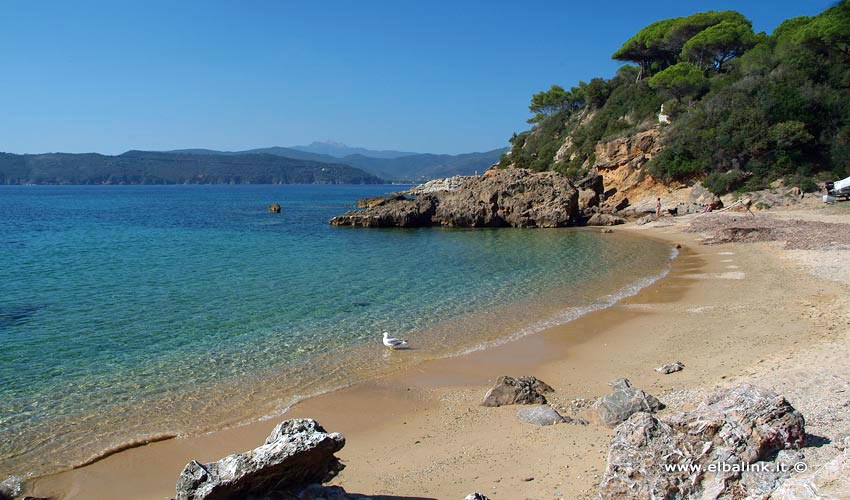 Spiaggia di Zuccale - Isola d'Elba