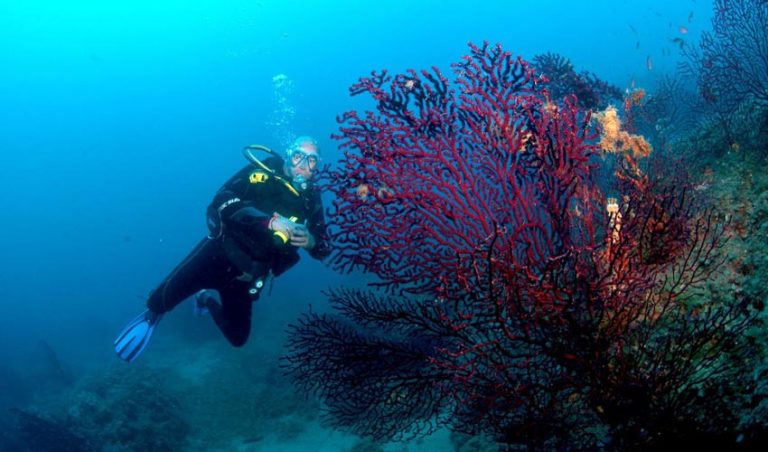 Spiro Sub Diving Center, Elba