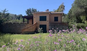 Villa Lentisco
